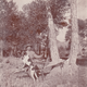 Illustration for article titled How To Buy Your First Hunting Rifle